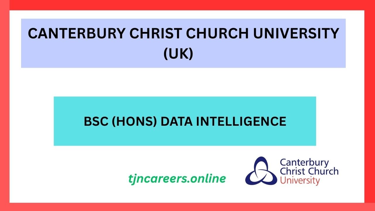 Bsc (Hons) Data Intelligence