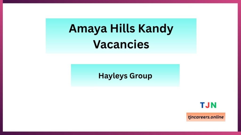 Team Leader Front Office - Radisson Hotels Careers in 2026